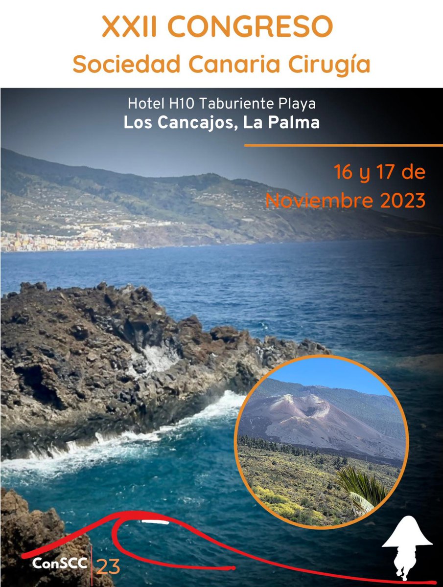 El equipo de @CardiolinkG estará presente en el XXII Congreso de la Sociedad Canaria de Cirugía donde compartiremos las últimas novedades e innovaciones en el campo de la Cirugía.
¡Os esperamos en el stand 3!
📅16 y 17 de noviembre
📍La Palma
#YourHealthSolutionsPartner