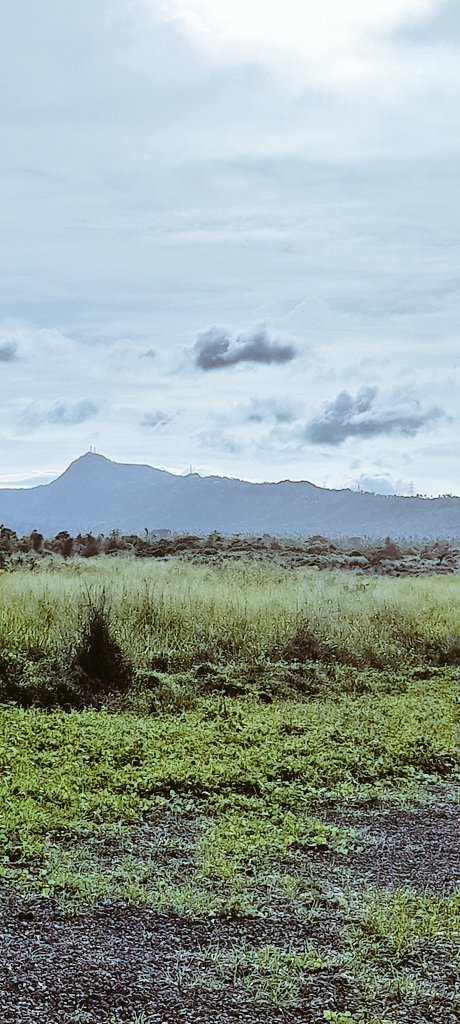 Miguel Lopez tweet media