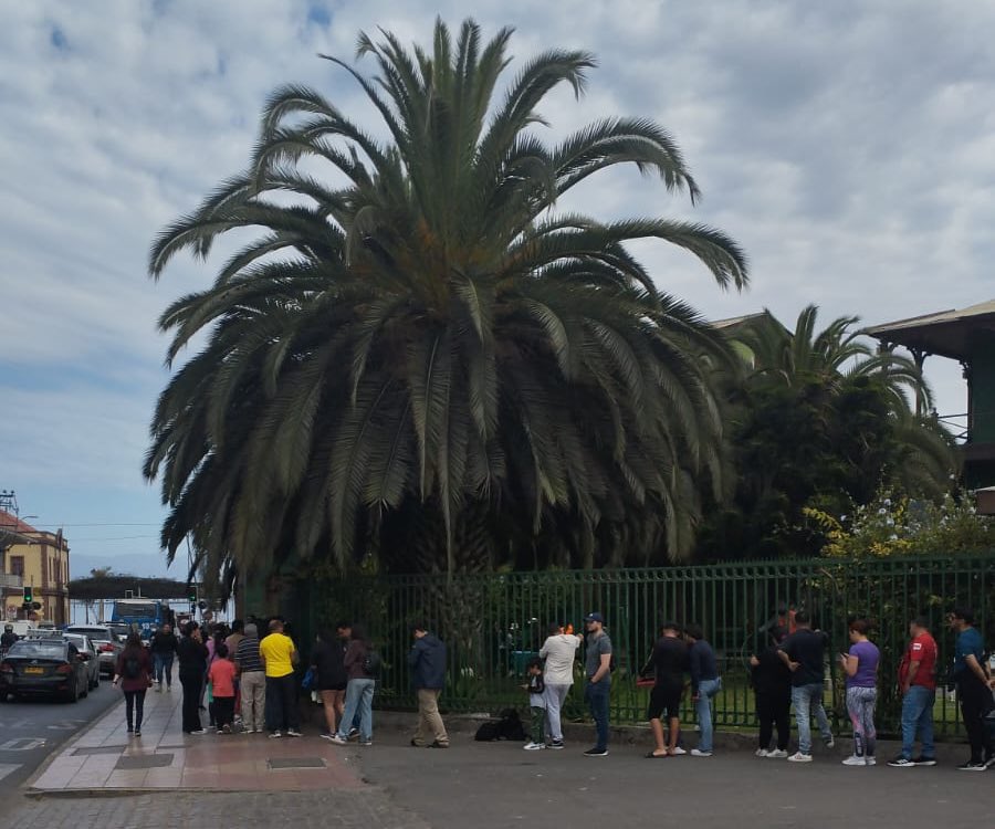 laloinostrozal's tweet photo. 🚂 Éxito total en interés de participar de los viajes en tren por la #Teletón en #Antofagasta. Son 2 boletos gratis por persona para mañana, viajando desde el sur y norte a colaborar al Banco de Chile del centro de la ciudad. https://t.co/dmxw6svFYI