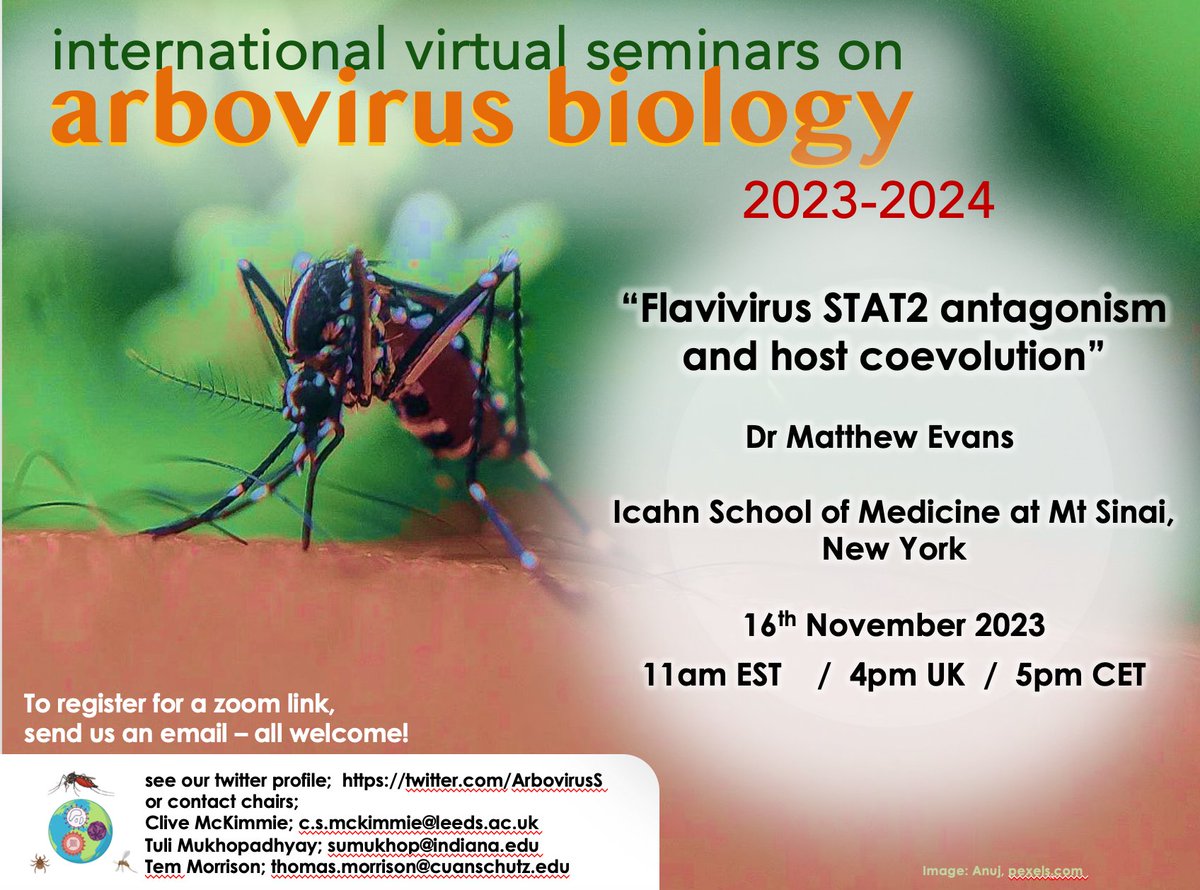 Come join us THIS THURSDAY to hear Matt Evans @mateoinnyc discuss immune evasion by Zika virus; lots of cool insights in #virology #evolution #pathogenesis #innate_immunity All welcome and please help us with a RT 🫂