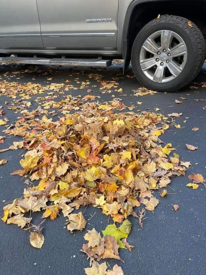 Sfigatto's tweet image. RITWITTA QUANDO LO VEDI 😛