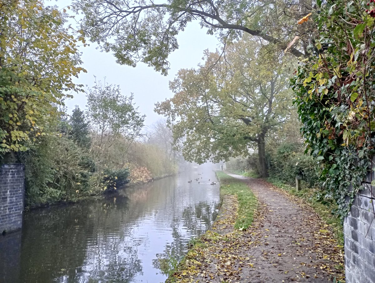 This morning's short walk along the canal at the end of my road.A cherished occupation before starting a 'working from home' day #OTWeek23 #DerbyOT