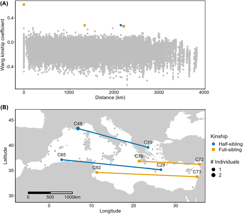 EcographyJourna's tweet photo. Brevia
Revisiting long-distance dispersal in a coastal marine fish
https://t.co/lqECIqpHkr #long_distance #dispersal #marine #fish
@WileyEcolEvol @NordicOikos https://t.co/DxBflA1d4k