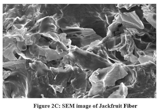 crnfsjournal's tweet image. Physicochemical Characterization and Functional Properties of Fruit Dietary Fibers
bit.ly/3MBvElN
#DietaryFibers #FunctionalProperties #HydrationProperties #SEM #Texture #ZetaPotential #Nutrition #FoodSciences #foodprocessing #ClinicalNutrition #EatingDisorders