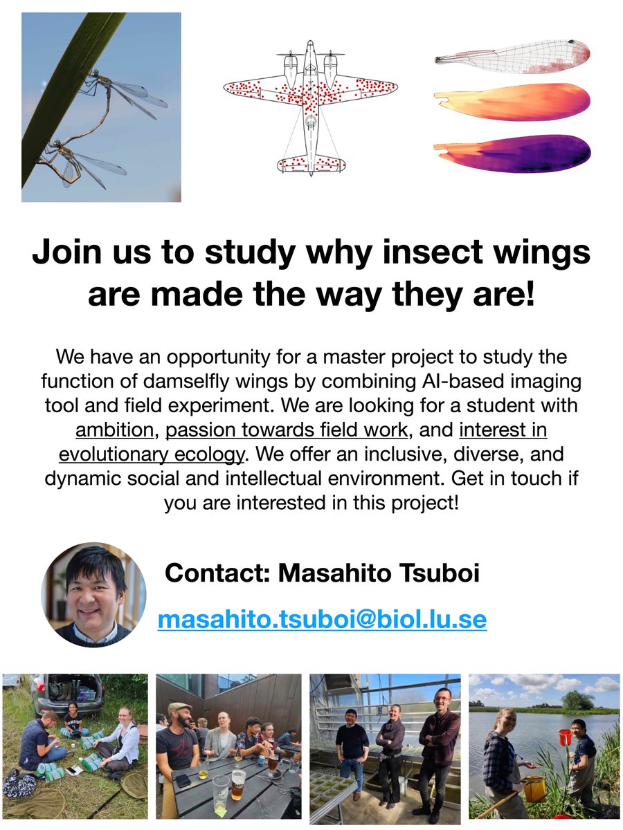 Please RT. I have an opportunity for a master project to study functional morphology of Odonata wing. Please see attached ad for details. If untested, please DM me your CV and a statement about your research interest and previous experience.