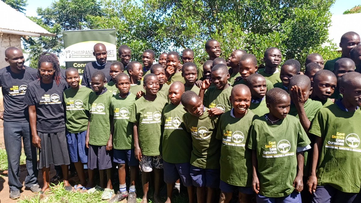 Chimpanzee Trust/Ngamba Island Chimp Sanctuary tweet media