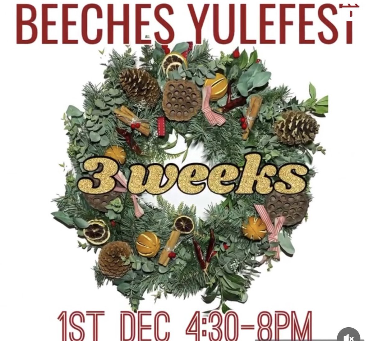 PrestoPerform's tweet image. We’re looking forward to showcasing some of our talented performers from @HighViewPrSch at the @beechesyulefest in just 3 weeks! 🎭🌟