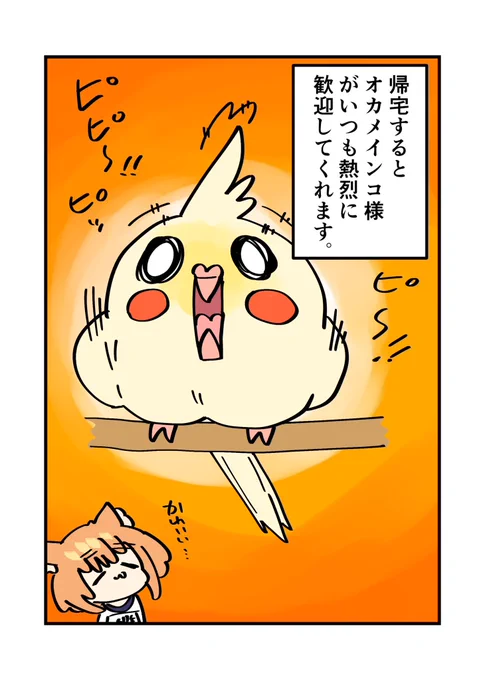 久しぶりに遊びに出かけたのですが帰宅したらオカメインコ様が熱烈に歓迎してくれました。 