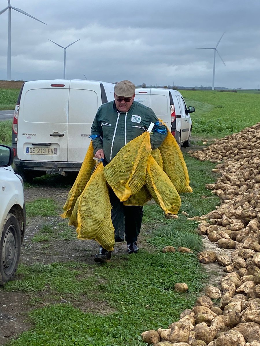 Suite de la visite <a href="/Chambagri_02/">Chambagri_02</a> #cetademontcornet aujourd'hui c'est pesées de biomasse et mesure de l'azote dans le sol <a href="/ITBetterave/">ITB - Institut Technique de la Betterave</a> <a href="/_MissBetter/">Miss Better</a>