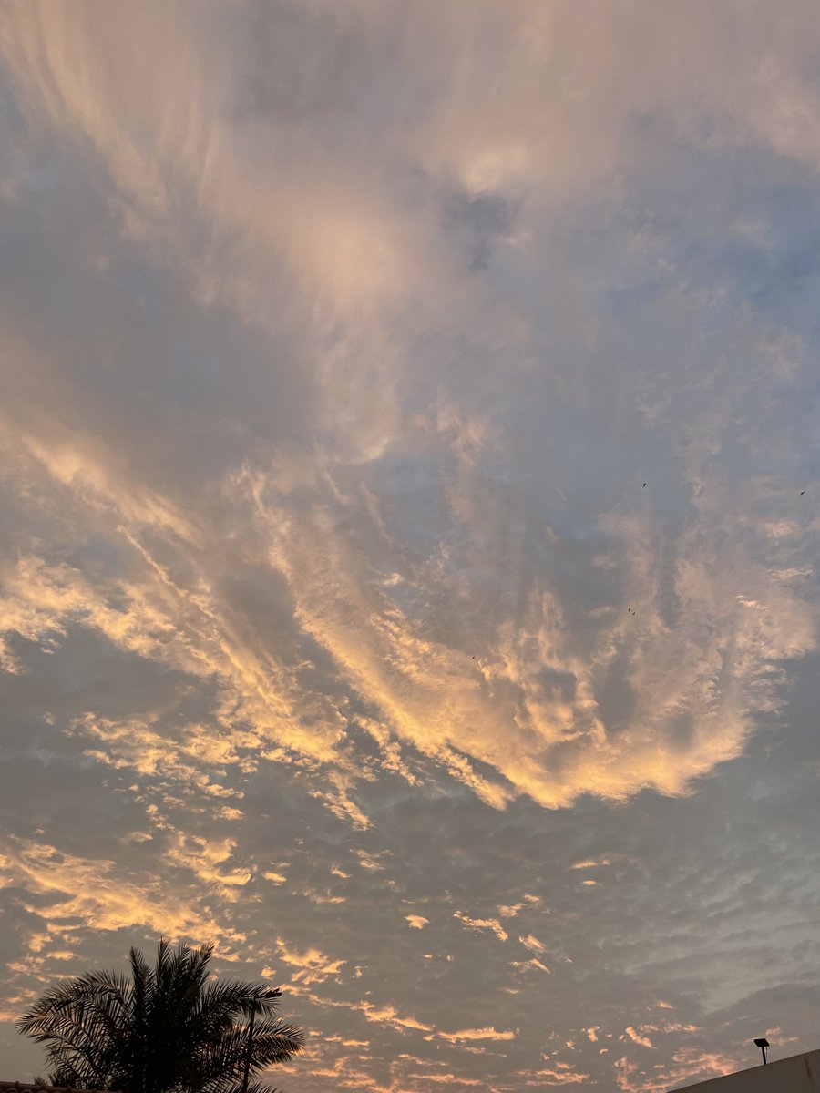 🌵 (@mmoottrraaffaa) on Twitter photo 