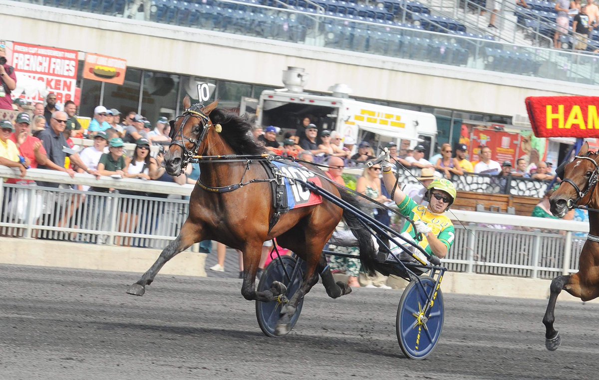 WickmanElin's tweet photo. finaste dagen i mitt liv ❤️👑 #HeavenHanover https://t.co/3yPgHDMEow