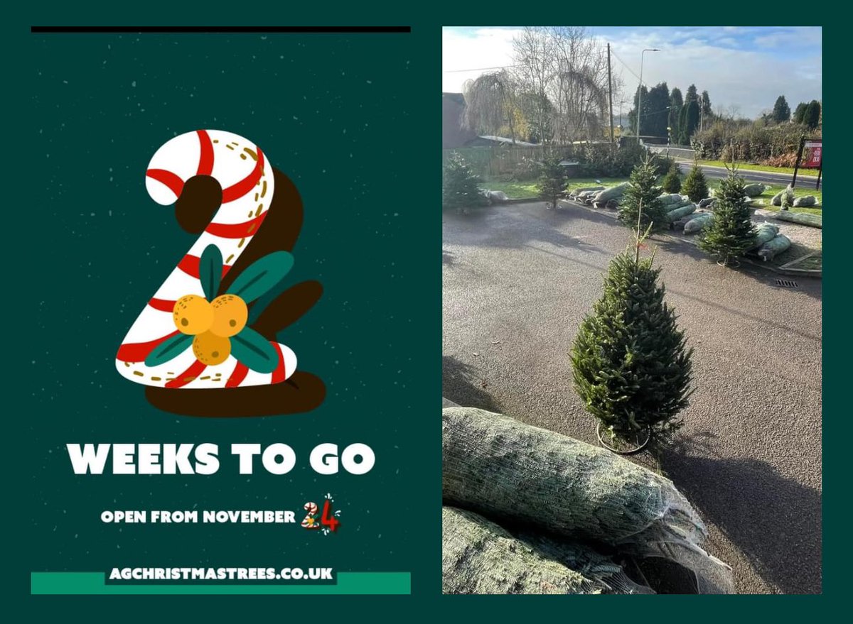 A-G Christmas Trees tweet media