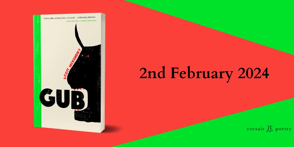 Demons, geese, The Laughing Cow, marching bands, LSD and pistols smuggled home from the USSR. A stunning debut collection, bringing the ghettoised working-class into contemporary Irish poetry. @al_mac_e