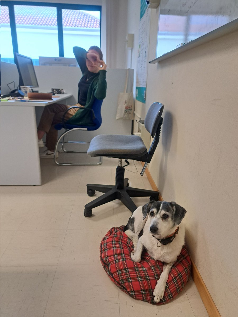 The main ingredient for a happy workplace is good company, and I definitely can't complain 🥰

Happy to have <a href="/gpietrop_/">Gloria Pietropolli</a> working here and Simba sleeping next to us in <a href="/EralLabTs/">Evolutionary Robotics and Artificial Life lab</a> 🐶