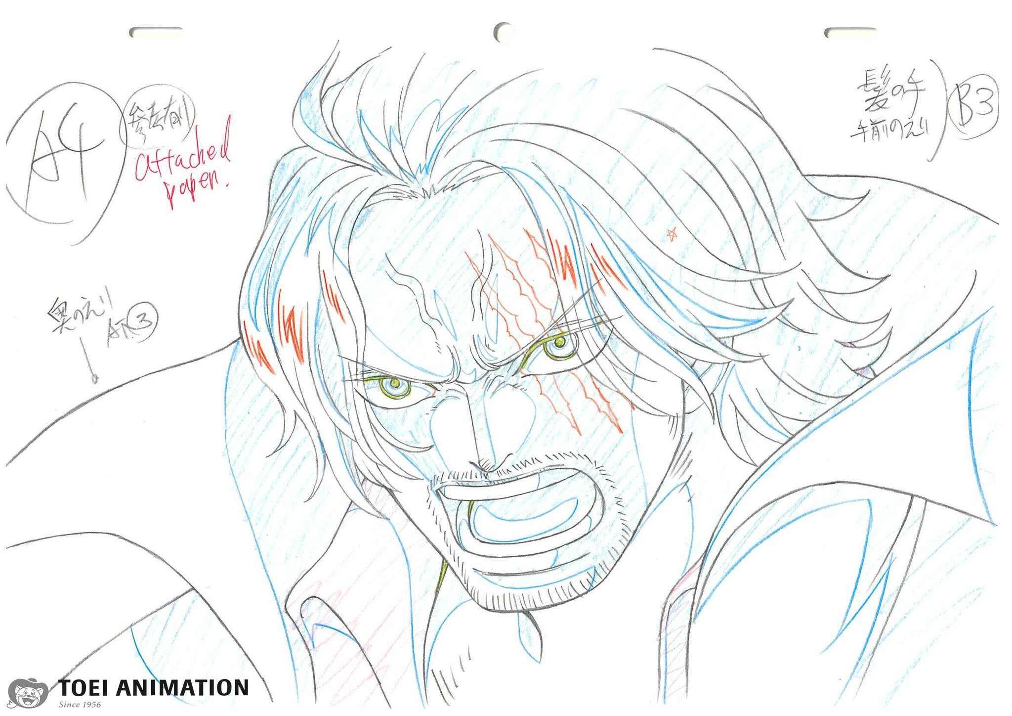 ONE PIECE.com(ワンピース) on X: ONE PIECE.com(ワンピース) on X: