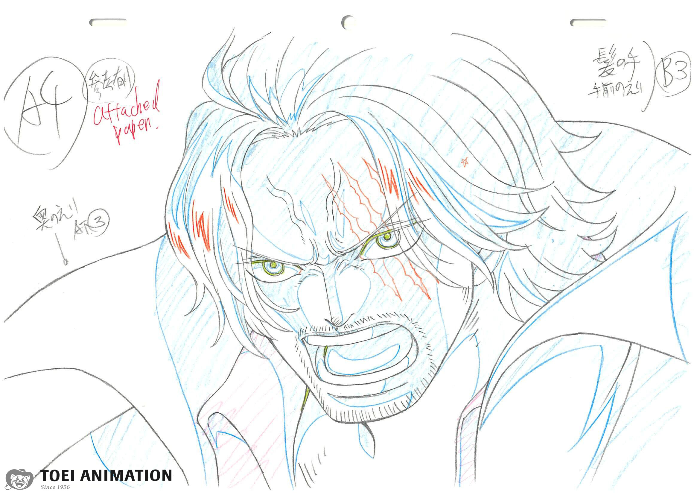 ONE PIECE.com(ワンピース) on X: ONE PIECE.com(ワンピース) on X: