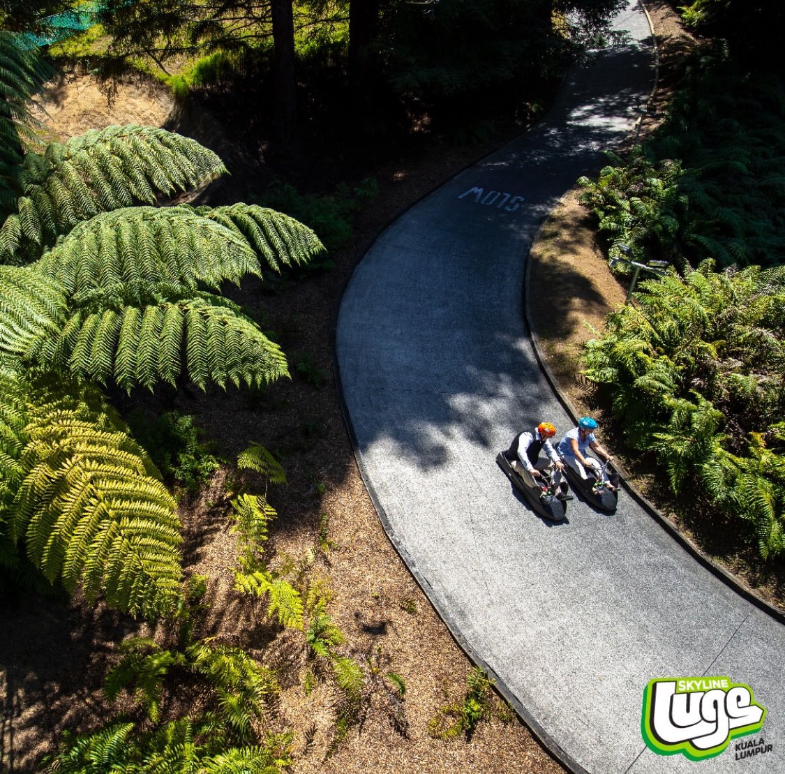 ayuhtravel's tweet photo. Tarikan terbaru weh. Bukan oversea tau!

📍 Skyline Luge Kuala Lumpur, Gamuda Luge Garden.

#AyuhTravel https://t.co/Hqr9T92KFF