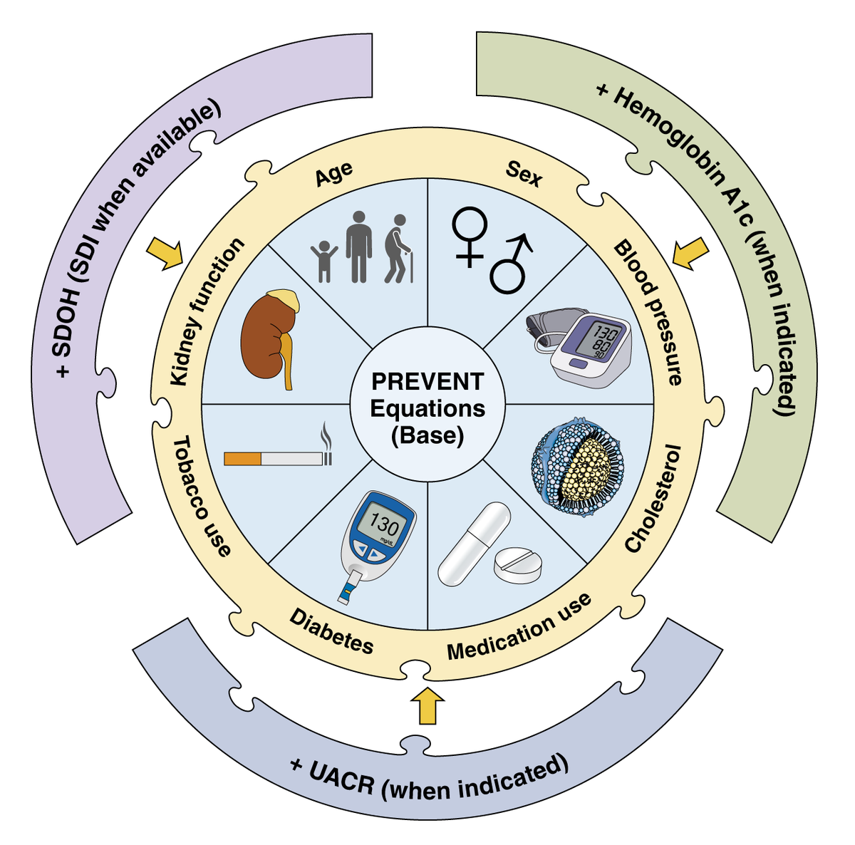 AHA Science (@ahascience) on Twitter photo 🆕 This statement summarizes the background, rationale, and clinical implications for newly developed sex-specific, race-free risk equations: American Heart Association Predicting Risk of CVD EVENTs (PREVENT)
✍🏽 <a href="/HeartDocSadiya/">Sadiya Khan</a> @JoeCoresh <a href="/dmljmd/">Don Lloyd-Jones</a>
🔗 spr.ly/6015utt1W 🆕 This statement summarizes the background, rationale, and clinical implications for newly developed sex-specific, race-free risk equations: American Heart Association Predicting Risk of CVD EVENTs (PREVENT)
✍🏽 <a href="/HeartDocSadiya/">Sadiya Khan</a> @JoeCoresh <a href="/dmljmd/">Don Lloyd-Jones</a>
🔗 spr.ly/6015utt1W