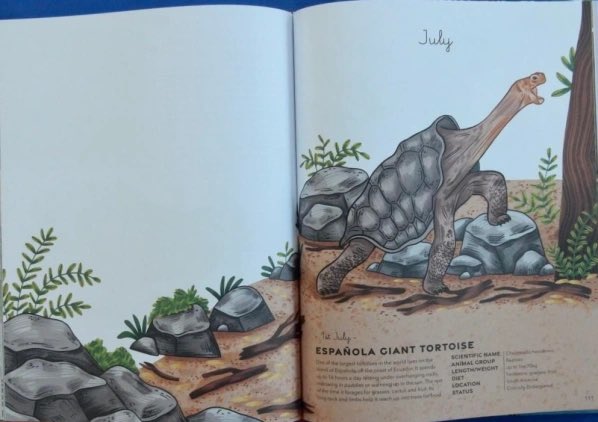 JillBennett18's tweet photo. You’ll encounter creatures of all shapes and sizes - in #AnAnimalADay #mirandasmith illust. #kajakajfez #mateomarkov @Chago_Calle @MaxRambaldi @FarshoreBooks #RedShed - it’s #RedReadingHub’s #nonfiction book of the day reviewed on the blog https://t.co/3hcrvtQDPk https://t.co/DyUpAiwE6K