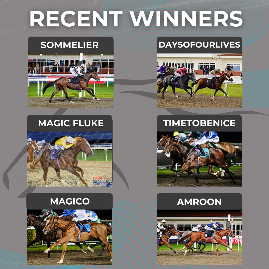 MarcoBotti's tweet photo. The yard is in flying form at the moment, landing six victories in the past seven days ✈️ 

We are thrilled to get these results for connections 🙌🏼 https://t.co/02CUoVdYJN