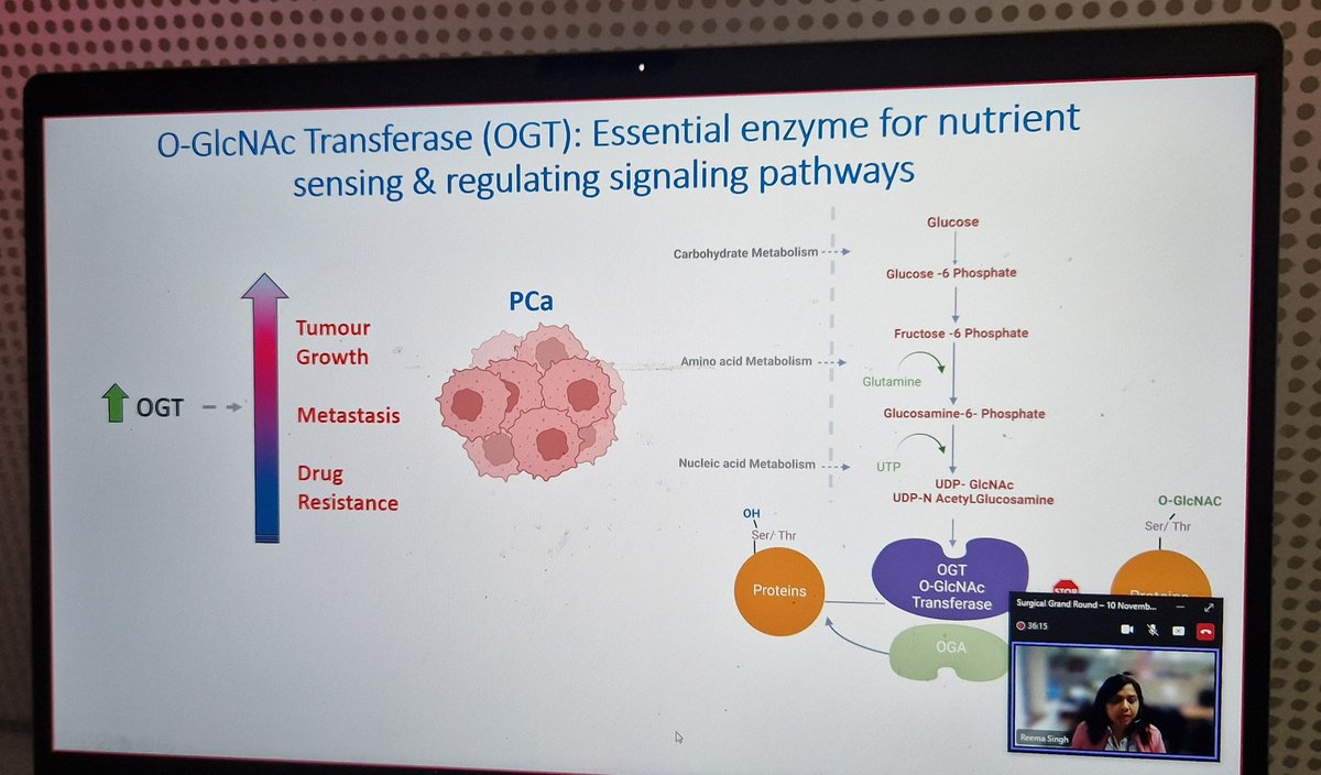 Oxford Prostate Cancer Biology Group tweet media