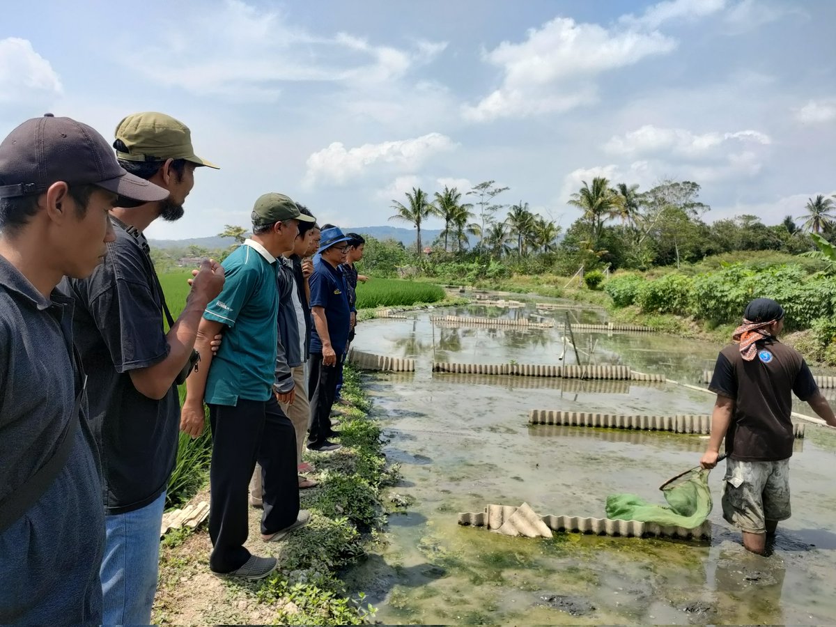 Nurfitrianijafar tweet media