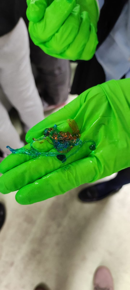 ¡Nuestro primer #LaboTour fue todo un éxito! 

Gracias a participantes, laboratorios y profes por vuestro entusiasmo. ¡Repetiremos!

La semana que viene, Science Dating &amp; Visitas a <a href="/BioInn_CIEMAT/">CIEMAT Innovación Biomédica</a>, <a href="/TJ2Fusion/">LNF_TJII/📡🔬🔭</a> y Laboratorio de  Suelos

divulgacion.ciemat.es/semanaciencia
#SemanaDeLaCiencia