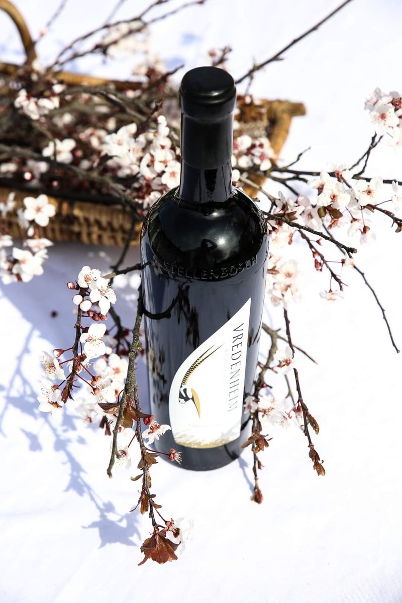 Vredenheim tweet media