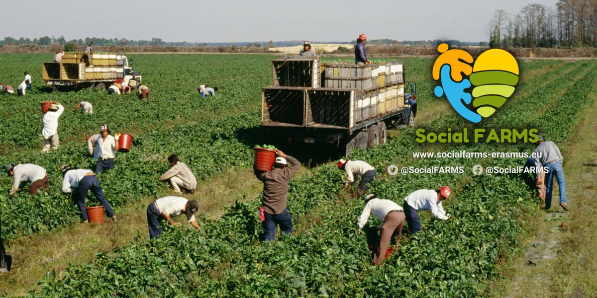 Tomorrow we celebrate St. Martin's Day! It not only marks the end of our agricultural &amp; #harvest season but also brings together communities in the spirit of inclusion &amp; diversity. 🌾✨ 

Huge thanks to our social farmers 🧑🌾 for their vital work!