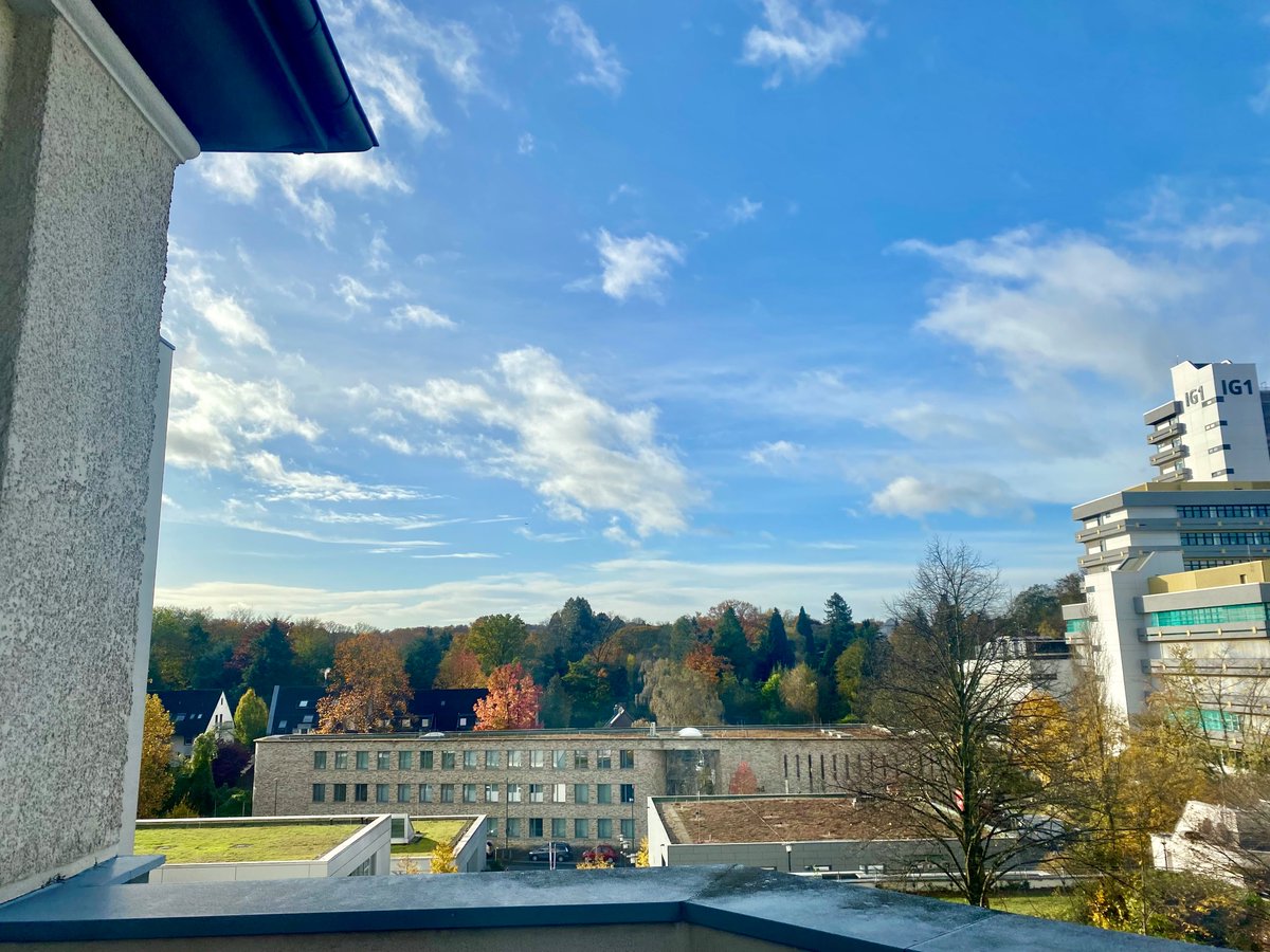 Christine Harrell (@the_harrell) on Twitter photo Wer möchte bei uns an der Medizinischen Fakultät der <a href="/unidue/">Uni Duisburg-Essen @unidue.bsky.social</a> den medizinischen Fortschritt mit gestalten? Wir suchen eine Sachbearbeiter:in für unsere #Forschungsförderprogramme. Unbefristet, 30,8 Std.
Alles weitere findet sich hier: karriere.ume.de/job-finder/?ge…
<a href="/MedEssen/">Medizinische Fakultät Essen</a> Wer möchte bei uns an der Medizinischen Fakultät der <a href="/unidue/">Uni Duisburg-Essen @unidue.bsky.social</a> den medizinischen Fortschritt mit gestalten? Wir suchen eine Sachbearbeiter:in für unsere #Forschungsförderprogramme. Unbefristet, 30,8 Std.
Alles weitere findet sich hier: karriere.ume.de/job-finder/?ge…
<a href="/MedEssen/">Medizinische Fakultät Essen</a>