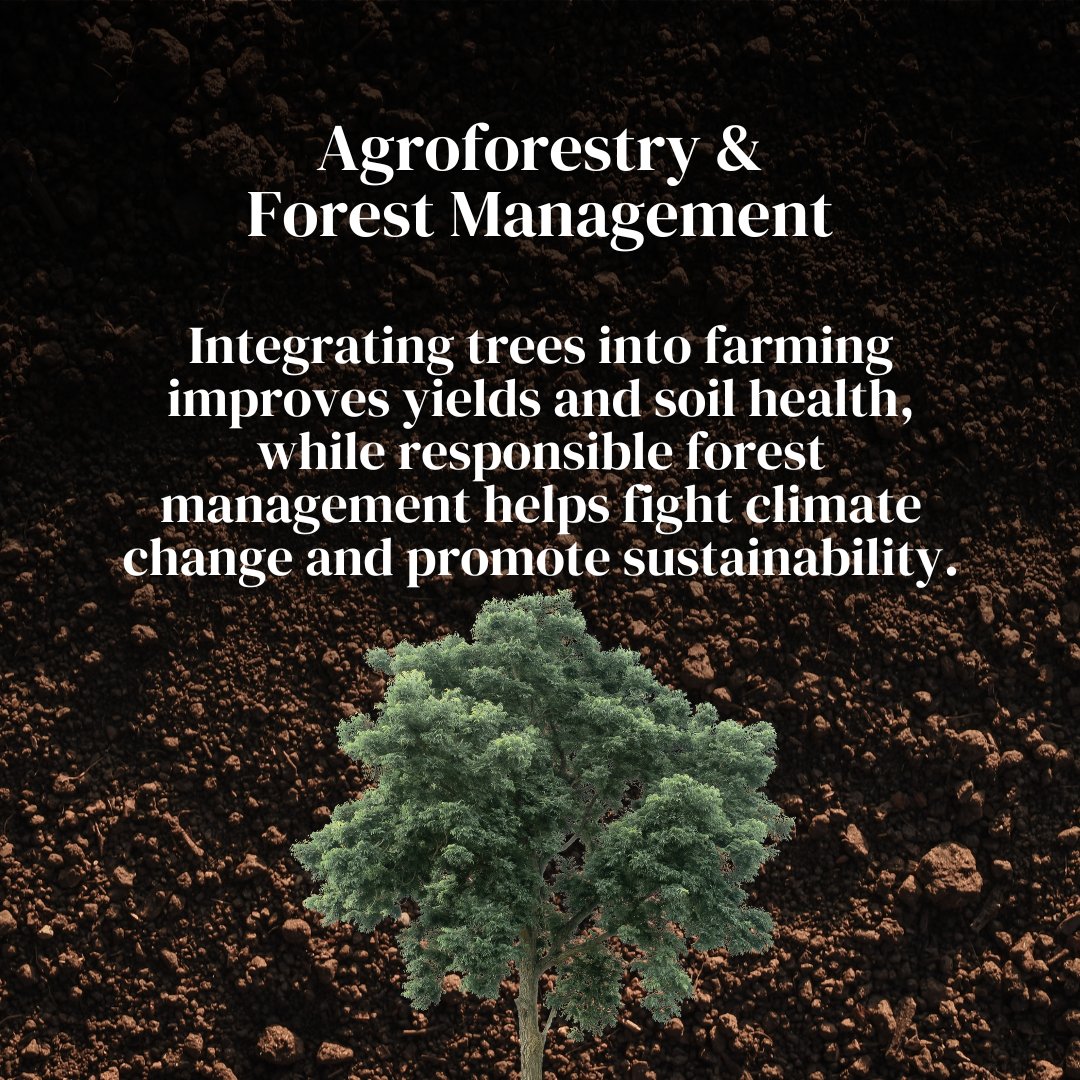 UNEP's tweet photo. Some of the innovations we need can already be found in nature. Nature-based solutions are Earth's own innovations to keep people &amp; the planet healthy and resilient.

They offer cost-effective ways to tackle #ClimateChange, biodiversity loss, and pollution.