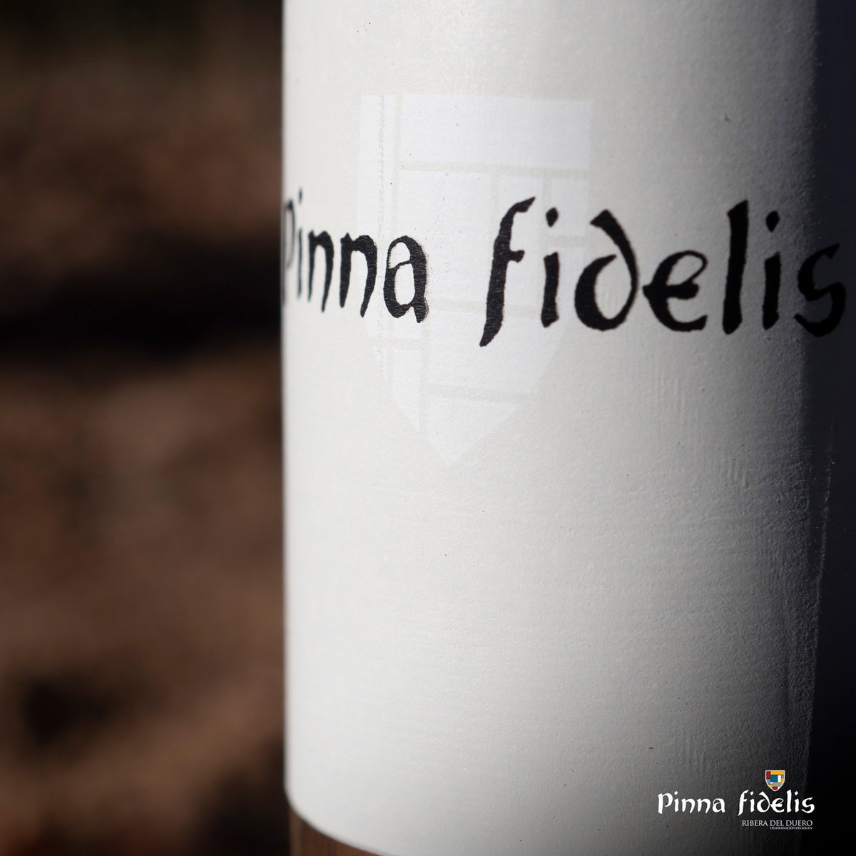 Bodega Pinna fidelis tweet media