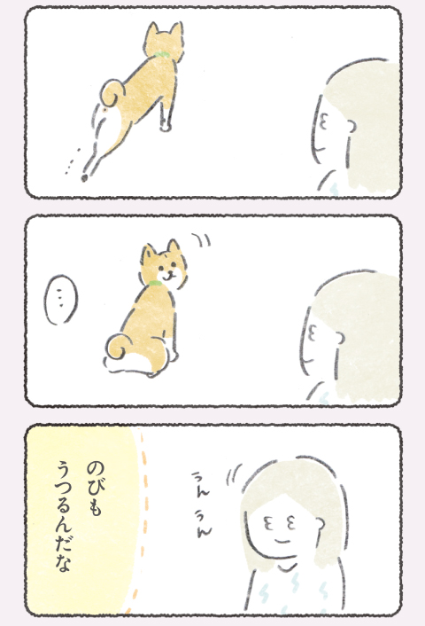 (2/2)
専門家よりひとこと
証明されてた!かわいいね☺️ 