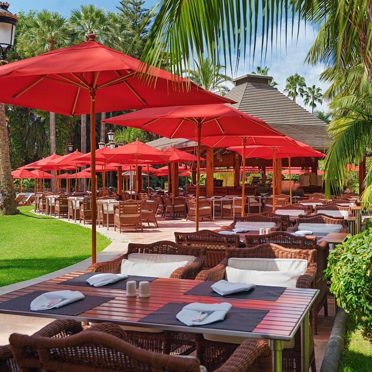 Hotel Botánico*****GL tweet media