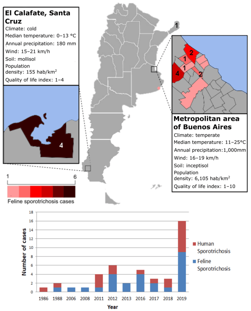 JoF_MDPI's tweet photo. 📊🔎 #Sporotrichosis, caused by #𝘚𝘱𝘰𝘳𝘰𝘵𝘩𝘳𝘪𝘹 𝘴𝘤𝘩𝘦𝘯𝘤𝘬𝘪𝘪 and related species, is Latin America's most frequent implantation #mycosis. This study will focus on different feline and human sporotrichosis outbreaks in #Argentina. 
🧪 More here:
https://t.co/o15CzfhkrW https://t.co/7zAzJJaats