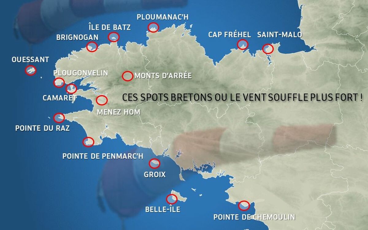 Dans le Finistère, ils veulent comprendre pourquoi les sardines  rétrécissent