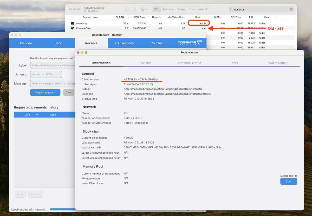 CosantaNet's tweet image. Exciting news after 4 months of hard work on Cosanta-Core! 🚀 We&apos;ve successfully adapted the Cosanta client for native compatibility with Apple M2, that will speed up development and address delays in implementing PoS v2.5. 🌐💻 #TechUpdate #CosantaCore #AppleM2