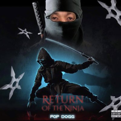 Return Of The Ninja tweet media