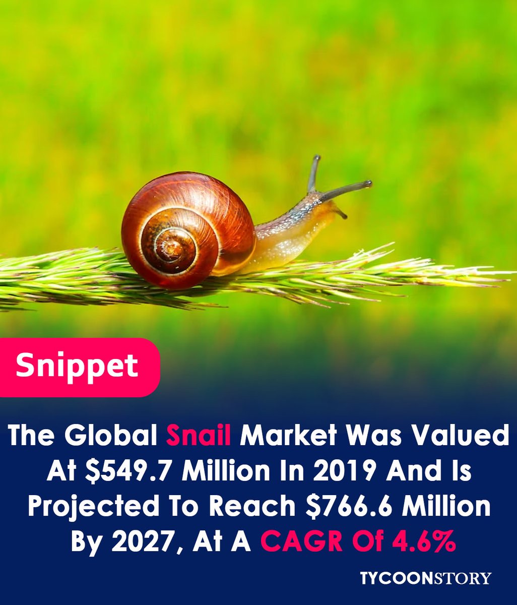 TycoonStoryCo's tweet photo. Are You Looking To Start Snail Services, Let Review The Below Market Statistics
#marketsize #freshsnail #keystrategies #snailmarket #Schistosomiasis #SnailShell #proteinrichfood #business #restaurants #onlinesales #SNAIL @PeconicEscargot https://t.co/jmaa6cedkg
