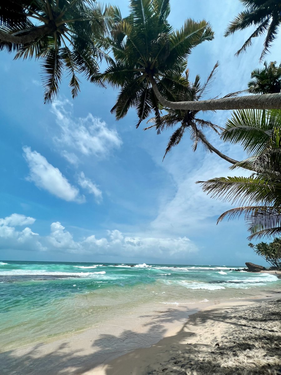 JourneyScapes Travels (@journeyscapessl) on Twitter photo Visit Sri Lanka π±π°
Explore this magical land with our various Sri Lanka
Tour packages.
πΈ : @marine_sja
π : srilankaauthenticholidays.com
π§ : journeys@sltnet.lk
βοΈ : +94 112 732 903
#journeyscapestravel #srilanka #visitsrilanka Visit Sri Lanka π±π°
Explore this magical land with our various Sri Lanka
Tour packages.
πΈ : @marine_sja
π : srilankaauthenticholidays.com
π§ : journeys@sltnet.lk
βοΈ : +94 112 732 903
#journeyscapestravel #srilanka #visitsrilanka