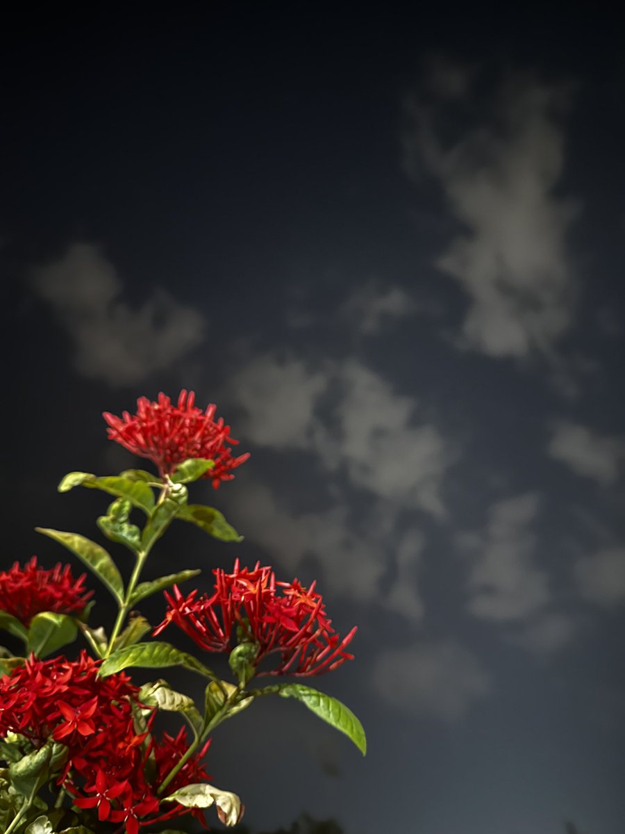 7afsu's tweet photo. In love with my pictures 🤯🫀 https://t.co/seHtWfsV0C