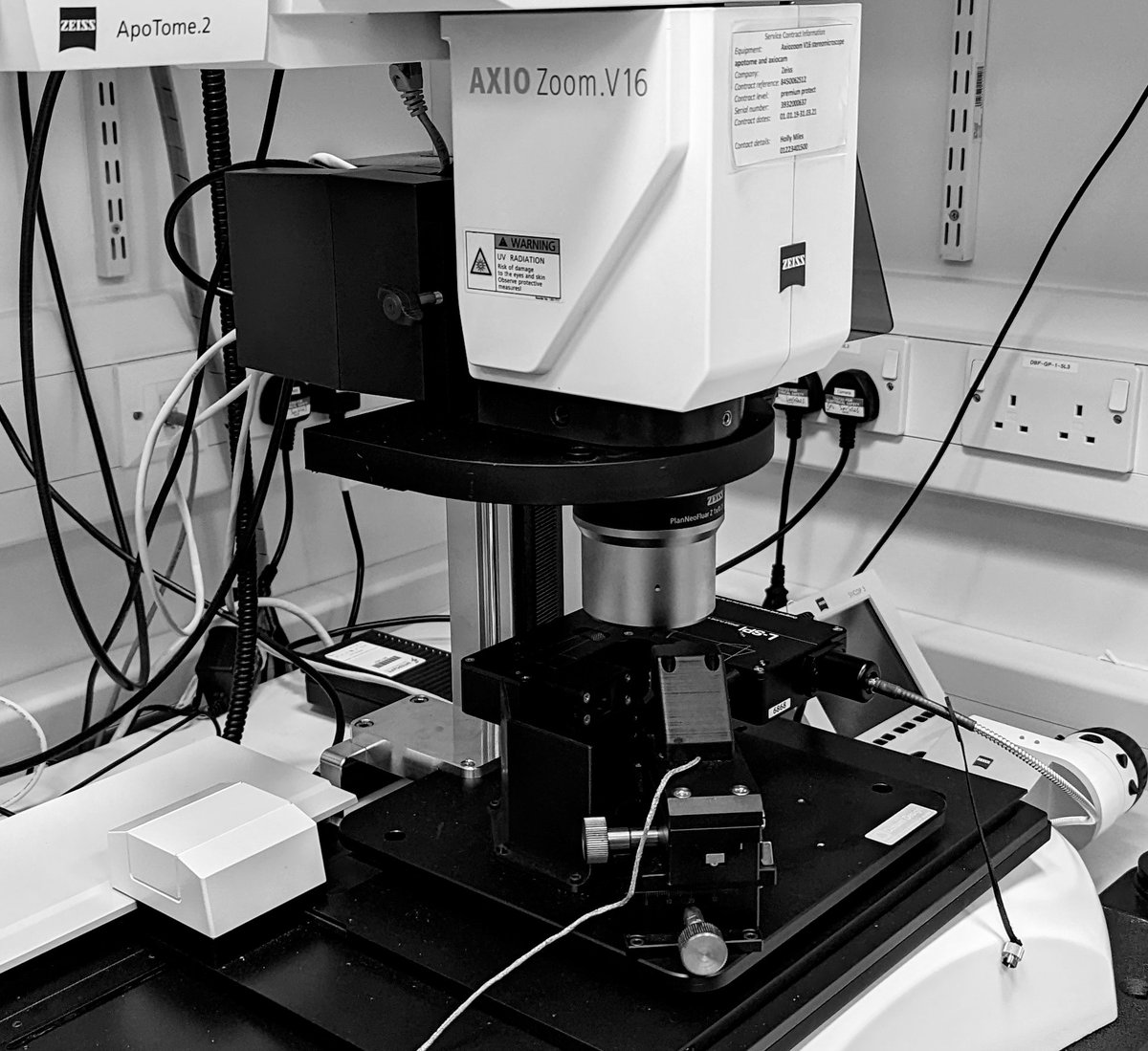 Jez Graham (@jezpersonal) on Twitter photo On-site again with <a href="/Cairn_GRog/">Gareth Rogers</a> . The affordable L-SPI dual-sided lightsheet <a href="/Cairn_Research/">Cairn Research</a> ( cairn-research.co.uk/product/lights… )
playing nicely with the Axio Zoom <a href="/zeiss_micro/">ZEISS Microscopy</a> On-site again with <a href="/Cairn_GRog/">Gareth Rogers</a> . The affordable L-SPI dual-sided lightsheet <a href="/Cairn_Research/">Cairn Research</a> ( cairn-research.co.uk/product/lights… )
playing nicely with the Axio Zoom <a href="/zeiss_micro/">ZEISS Microscopy</a>