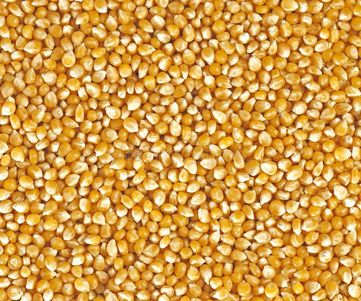 DemirelTrading's tweet image. We offering raw yellow corn export supplier from Guinea-Bissau.
If you&apos;re interested or any questions contact whatsapp on wa.me/245965242439
Website: demitrading.com
E-mail: demitradingltd@gmail.com
#demi_trading #export #supplier 
#whoseller #corn @demi_trading