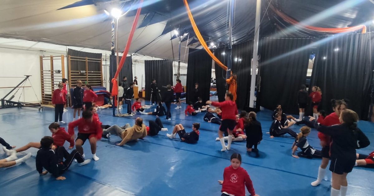 cscchamartin's tweet photo. Los alumnos de sexto han disfrutado de una salida de educación física muy especial: una Escuela de Circo🎪. 
Han vivenciado actividades de : 🤹‍♂️malabares, equilibrios, aéreos, plato chino, saltos con trampolín…
#SoyTodoOídos #somosFESB https://t.co/hgoiRtHMrV