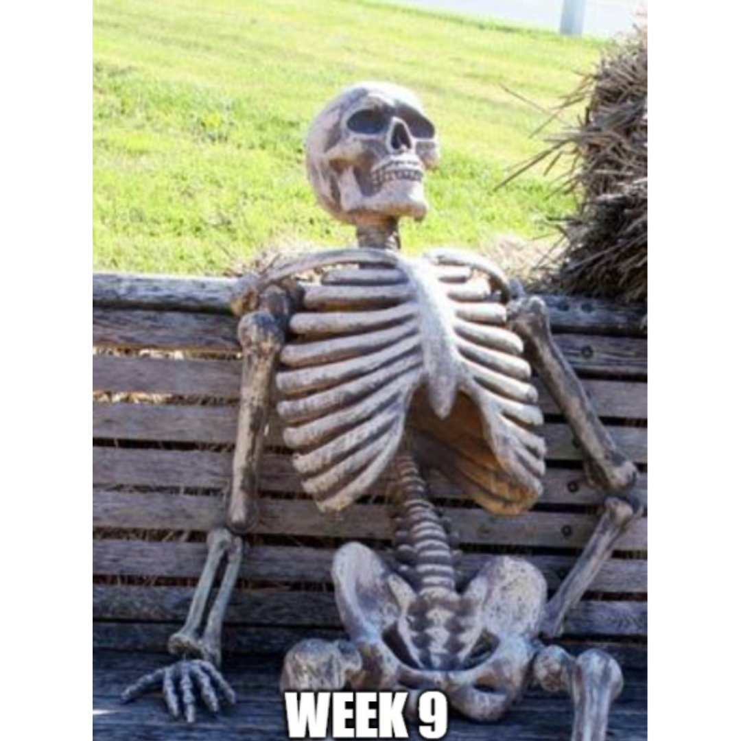 First Seven Weeks UL tweet media