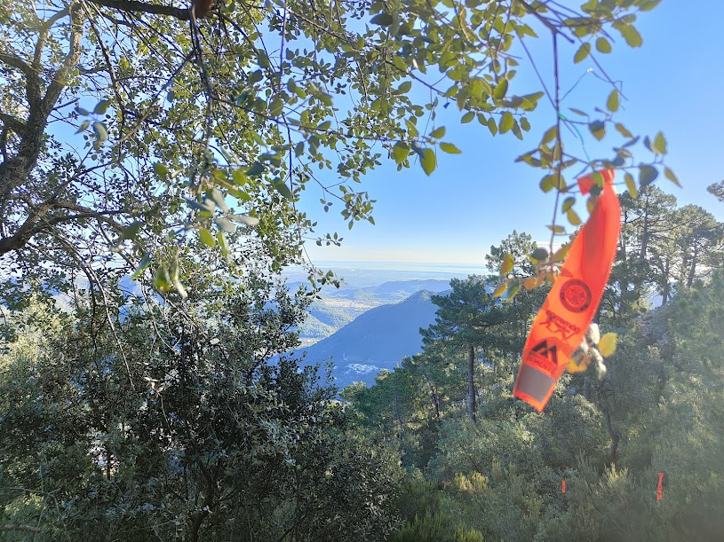 javix's tweet photo. Bon dia!! #Dements #Eslida #SerraEspadà https://t.co/s6p8WndfDE
