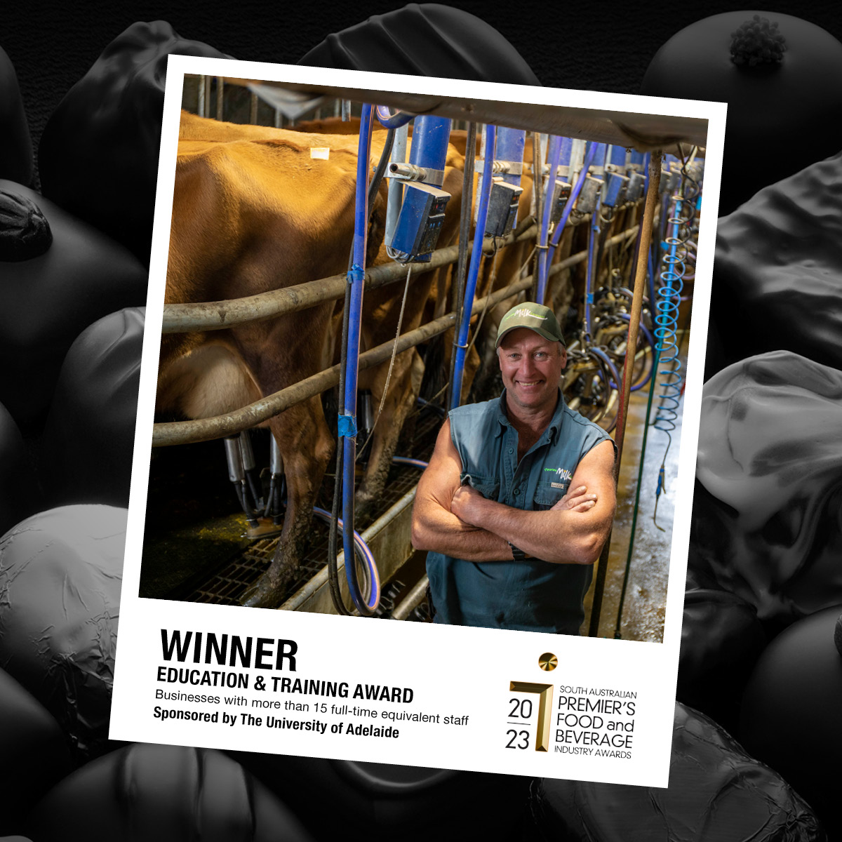 SA Premier's Food and Beverage Awards tweet media