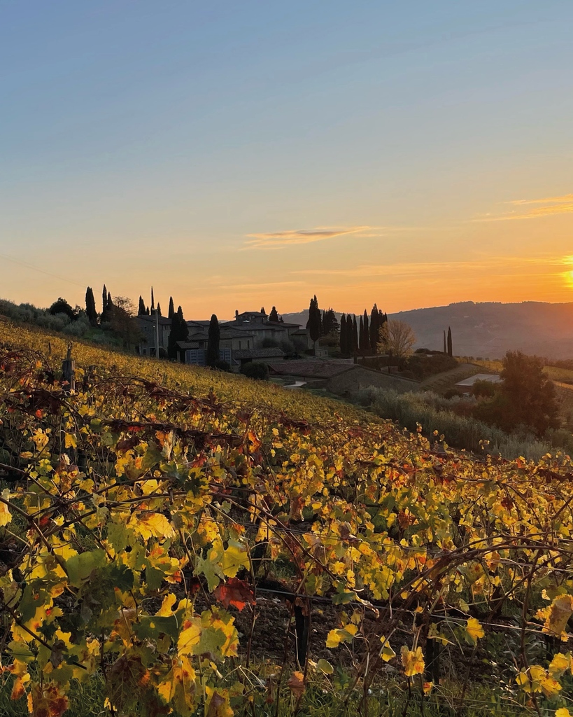 Autumn is undoubtedly our favourite season in Chianti Classico, boasting stunning, vivid colours, crystal-clear skies, and the inebriating aroma of fermenting grapes.⁠ #chianticlassico #querciabella