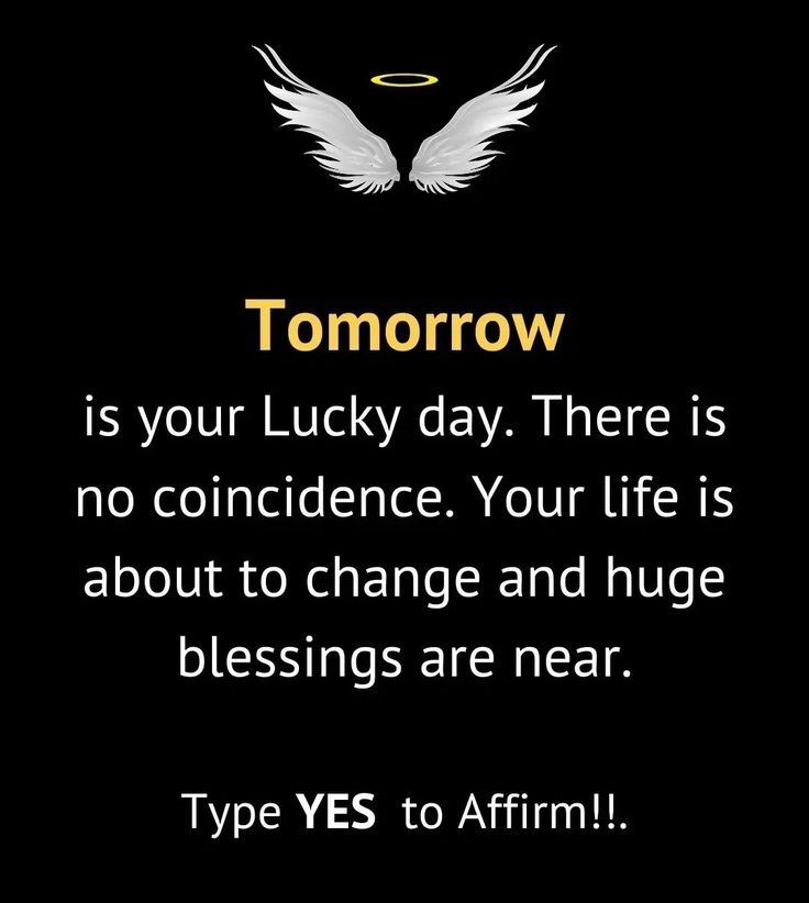 Type 'YES' to Affirm!!!