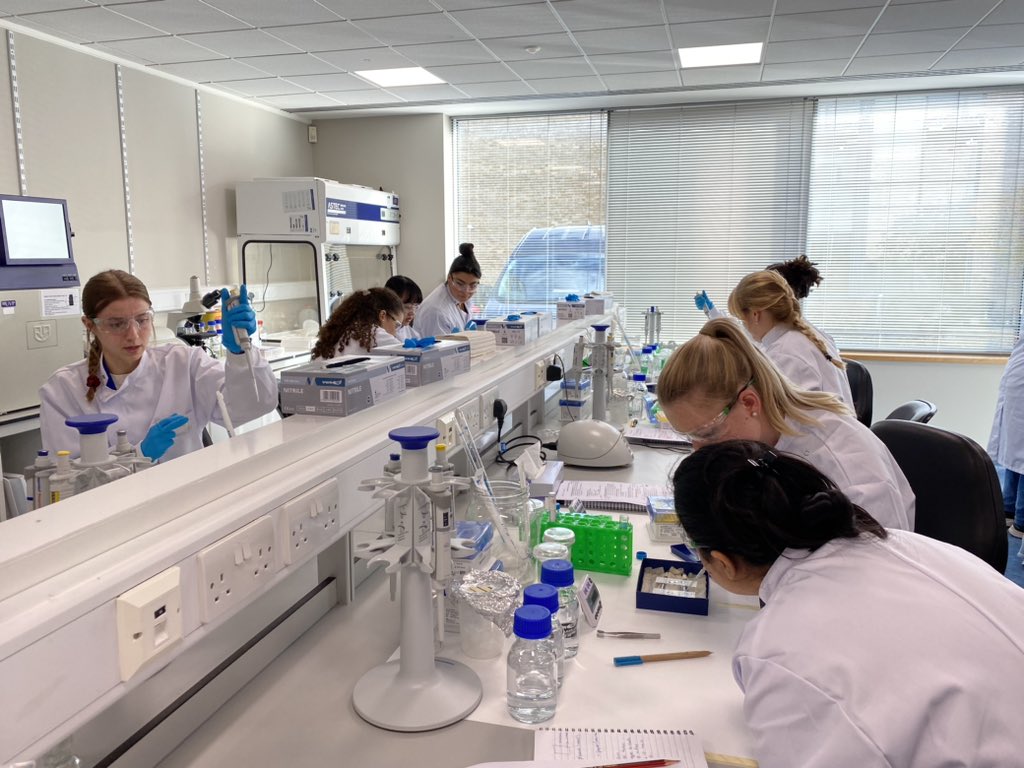 SWilliamslab_OX's tweet photo. Another cracking day of hands-on learning!🔬Special thanks to Prof. @DrSAWilliams and our helpers @nilay_ksc @JanetHCKwan for guiding our MSc students through the intricacies of IHC techniques. Stay tuned for more highlights from this week’s practical! @Ox_wrh @Ox_MSc_ClinEmb https://t.co/hHScw7Cax9
